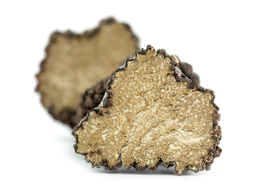 What Is a Truffle and What Does It Taste Like?