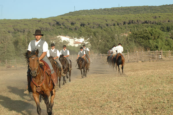 Points West Online: I Butteri: Italy's Legendary Cowboys of the Maremma