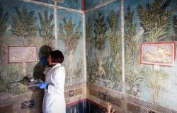 Restorer working on fresco in Pompeii