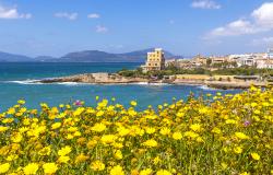 View of the coast in Alghero with blooming flowers