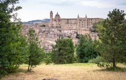 urbino