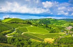 Vineyards and hills of Langhe Italy