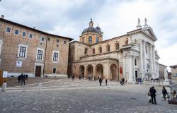 Urbino Cathedral