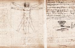 vitruvian man