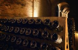 Monferrato underground wine cellar