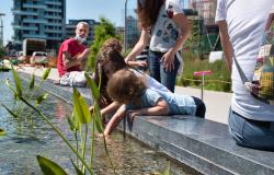 Children playing in Milan's Biblioteca degli Alberi park