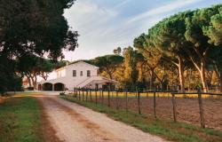 Apartments at Tenuta San Carlo in the Maremma, Tuscany / Photo: Tenuta San Carlo