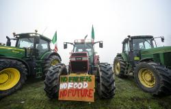 Farmers protest in Lombardy