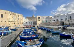 Curated & Immersive Small-Group Tours in Puglia, Abruzzo & Liguria