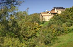 La Rogaia Cooking Holidays with Truffle Hunt and Olive Harvest in Umbria, at the border to Tuscany 5