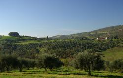La Rogaia Cooking Holidays with Truffle Hunt and Olive Harvest in Umbria, at the border to Tuscany 4