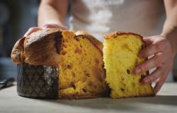 Panettone 