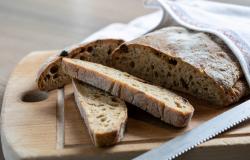 Bread from Forno Mollica in Bologna