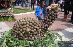 artichoke festival