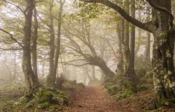 hiking in Umbria