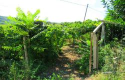 Building land with sea view Ortona Abruzzo