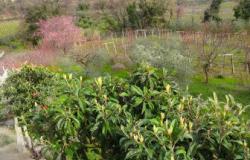 Farm house for sale in Abruzzo