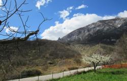 Farm house in the mountains for sale Abruzzo Italy