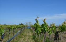 Building plot close to the beach for a Villa Abruzzo Italy