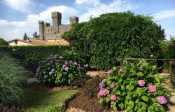 Rear garden with view toward Castello di Torre Alfina