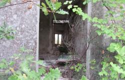 5 Hectares and 300sqm ruin in central Italy