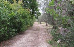 5 Hectares and 300sqm ruin in central Italy