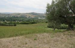 5 Hectares and 300sqm ruin in central Italy