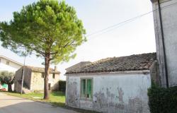 Countryside single floor cottage with 800sqm of garden with olives 2km to historic Crecchio. 2