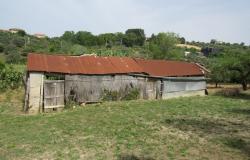 Semi-detached bungalow with 4500 sqm of olive grove and barn to convert 15 minutes to the beach. 3