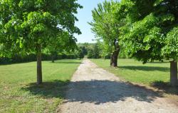 A Restored Country House with Park in the Area of Barolo/ mrg001