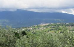 Detached, isolated, new build with 4500sqm of olive grove, mountain views, 1km to the town.  18