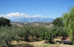 Sea and Mountain views, detached farmhouse with 2500sqm of land, 6 bedrooms, 10 minutes to the beach  5