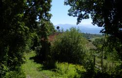A House with about 3 Hectares of Land in a Panoramic Location 11