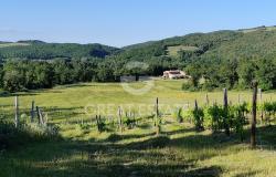 Casale Montecucco 2