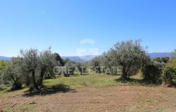 Podere La torretta panoramica 11