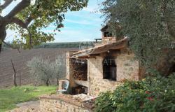 Podere Villa Arzilla 13