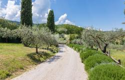 Tenuta Locus Amoenus 7