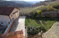 House with Pool Amid Vineyards / BLV029