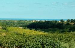 1800s fully restored, detached, stone town house with swimming pool, garden, 3 beds, open views, 2km to town  7