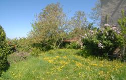 House with Garden for Sale in the High Langhe /NLB038 14