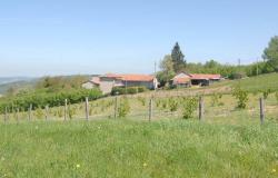 House with Garden for Sale in the High Langhe /NLB038 13