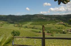 Winery in Dogliani / DGL225 1