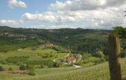 Winery in Dogliani / DGL225 2