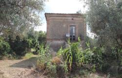 Detached, 1950s, brick 150sqm farmhouse, 4km to beach with 2 hectares of flat land with olives and vines, 2 outbuildings, no neighbours  3