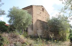 Detached, 1950s, brick 150sqm farmhouse, 4km to beach with 2 hectares of flat land with olives and vines, 2 outbuildings, no neighbours  4