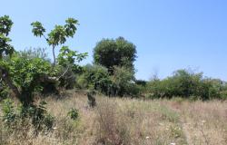 900sqm building plot, flat land, for a Villa of 200sqm with some fruit trees, sea and village views, 200 meters from the center, 8km to the beach  1