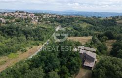 La Torricella di Orvieto 6