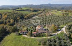 Tenuta I Poggi del Tartufolo 2