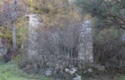 2000sqm of olive grove with a 150 year old, 40sqm, stone ruin in a panoramic, mountain location  0