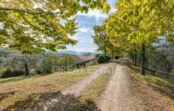 Podere Toscano 10